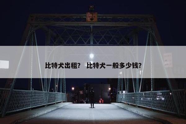 比特犬出租？ 比特犬一般多少钱？