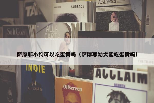 萨摩耶小狗可以吃蛋黄吗（萨摩耶幼犬能吃蛋黄吗）
