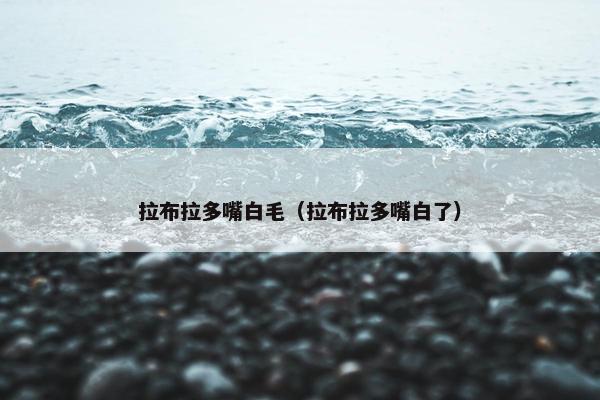 拉布拉多嘴白毛（拉布拉多嘴白了）