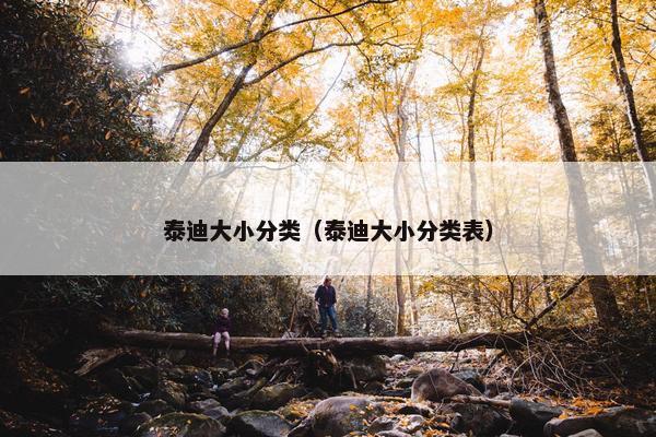 泰迪大小分类（泰迪大小分类表）