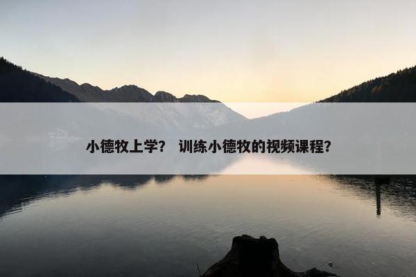 小德牧上学？ 训练小德牧的视频课程？