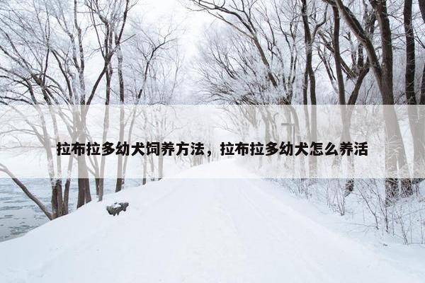 拉布拉多幼犬饲养方法，拉布拉多幼犬怎么养活