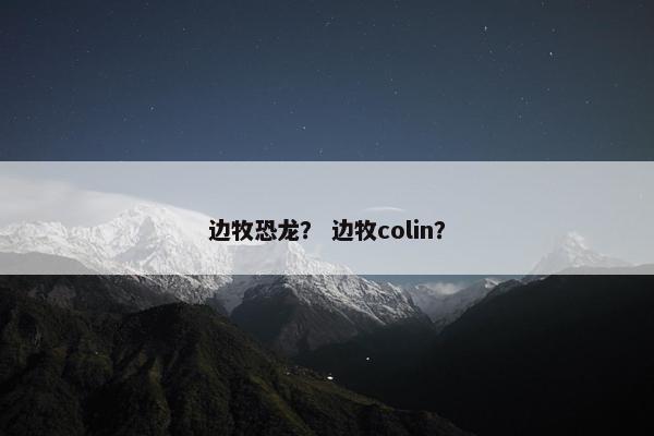 边牧恐龙？ 边牧colin？