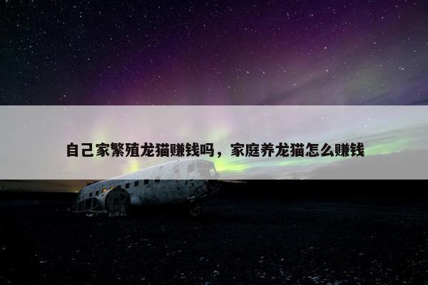 自己家繁殖龙猫赚钱吗，家庭养龙猫怎么赚钱