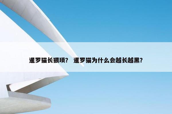 暹罗猫长猥琐？ 暹罗猫为什么会越长越黑？