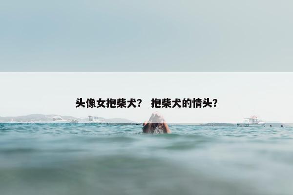 头像女抱柴犬？ 抱柴犬的情头？