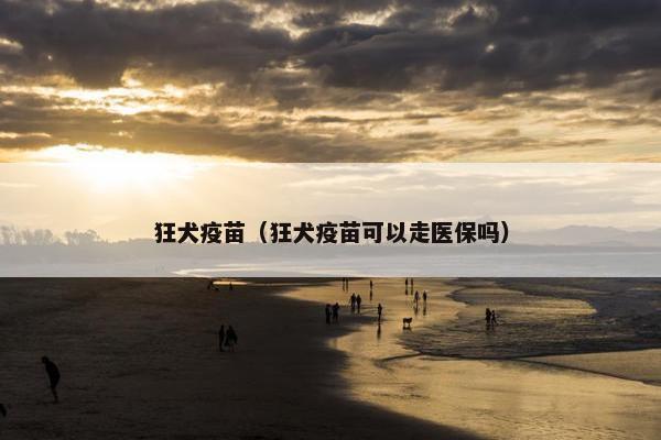 狂犬疫苗（狂犬疫苗可以走医保吗）
