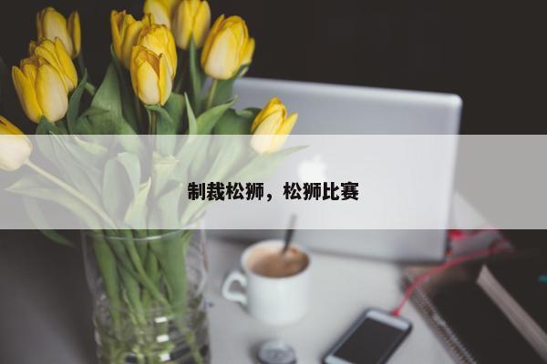 制裁松狮，松狮比赛