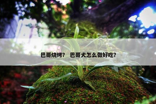 巴哥烧烤？ 巴哥犬怎么做好吃？