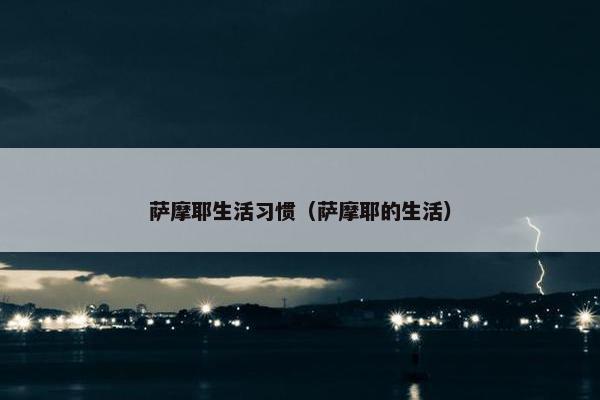萨摩耶生活习惯（萨摩耶的生活）