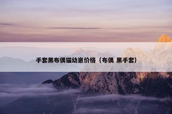 手套黑布偶猫幼崽价格（布偶 黑手套）