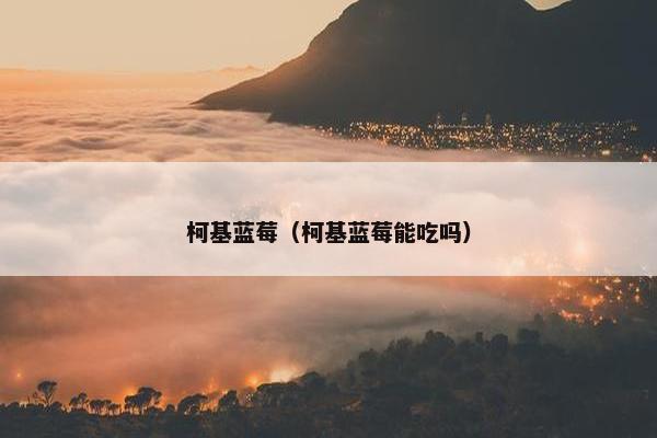 柯基蓝莓（柯基蓝莓能吃吗）