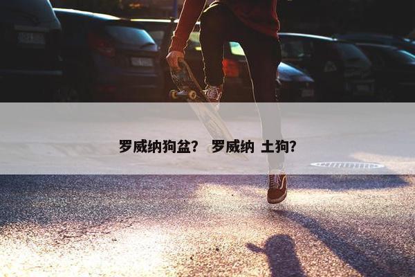 罗威纳狗盆？ 罗威纳 土狗？