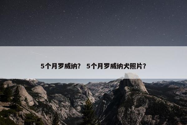 5个月罗威纳？ 5个月罗威纳犬照片？