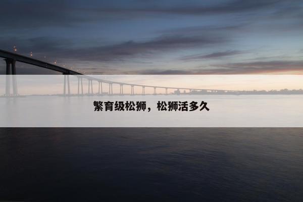 繁育级松狮，松狮活多久