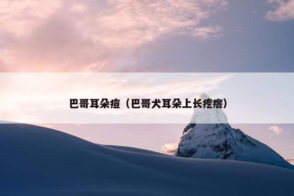 巴哥耳朵痘（巴哥犬耳朵上长疙瘩）