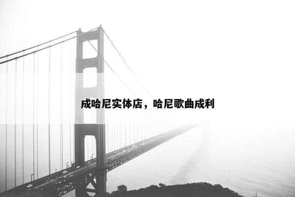 成哈尼实体店，哈尼歌曲成利