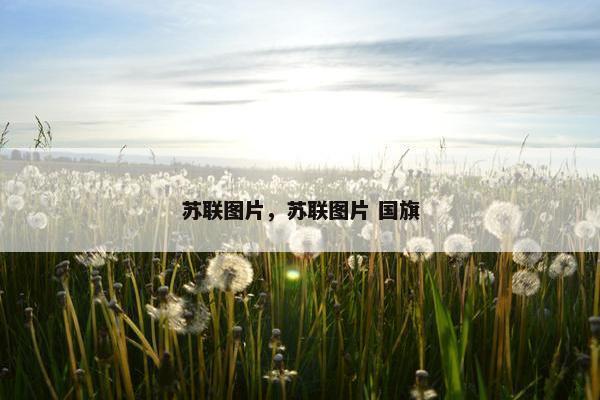 苏联图片，苏联图片 国旗