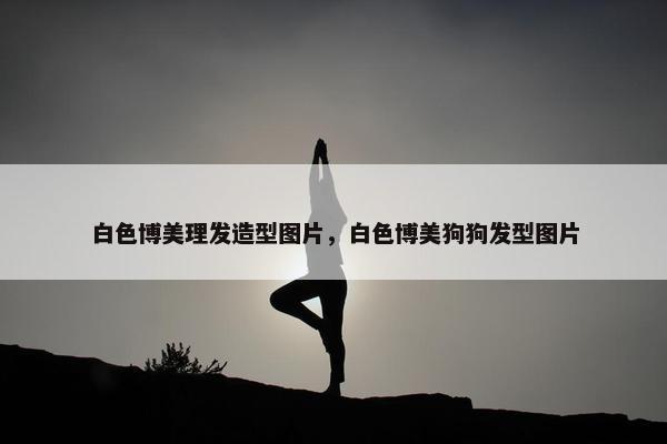 白色博美理发造型图片，白色博美狗狗发型图片