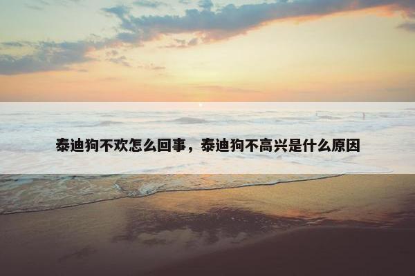 泰迪狗不欢怎么回事，泰迪狗不高兴是什么原因