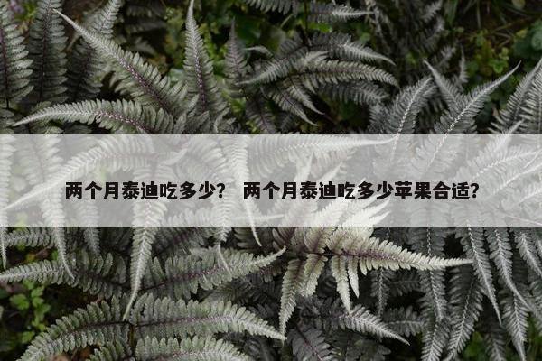 两个月泰迪吃多少？ 两个月泰迪吃多少苹果合适？