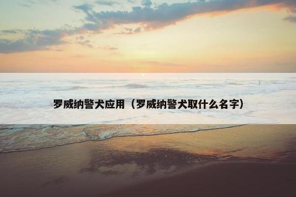 罗威纳警犬应用（罗威纳警犬取什么名字）