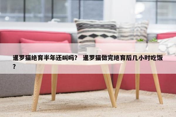 暹罗猫绝育半年还叫吗？ 暹罗猫做完绝育后几小时吃饭？
