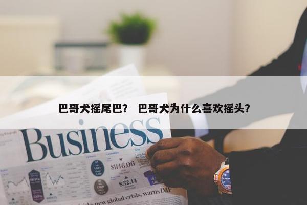 巴哥犬摇尾巴？ 巴哥犬为什么喜欢摇头？
