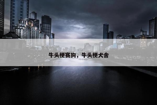 牛头梗赛狗，牛头梗犬舍