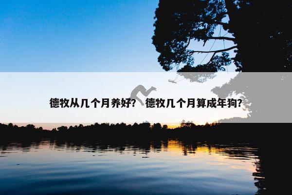 德牧从几个月养好？ 德牧几个月算成年狗？
