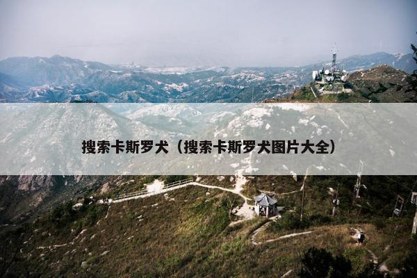 搜索卡斯罗犬（搜索卡斯罗犬图片大全）