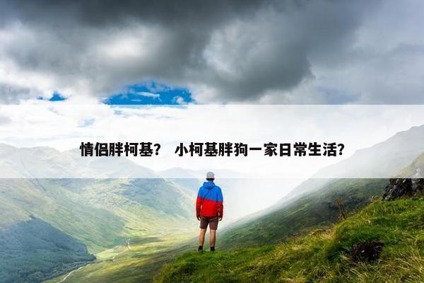 情侣胖柯基？ 小柯基胖狗一家日常生活？