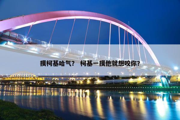 摸柯基哈气？ 柯基一摸他就想咬你？