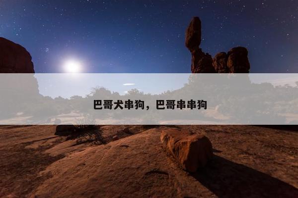 巴哥犬串狗，巴哥串串狗