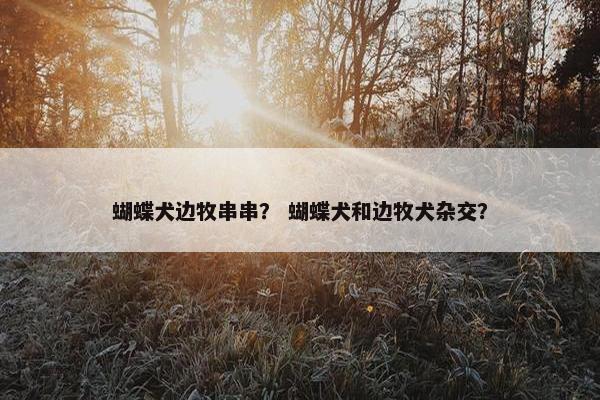蝴蝶犬边牧串串？ 蝴蝶犬和边牧犬杂交？