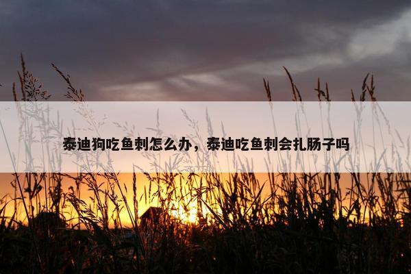 泰迪狗吃鱼刺怎么办，泰迪吃鱼刺会扎肠子吗