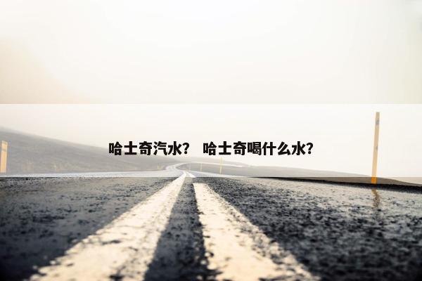 哈士奇汽水？ 哈士奇喝什么水？