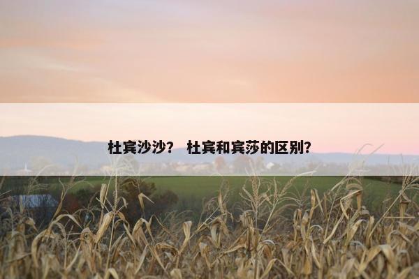 杜宾沙沙？ 杜宾和宾莎的区别？