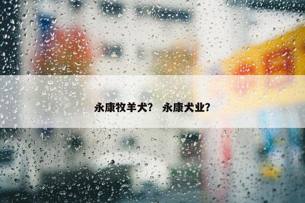 永康牧羊犬？ 永康犬业？