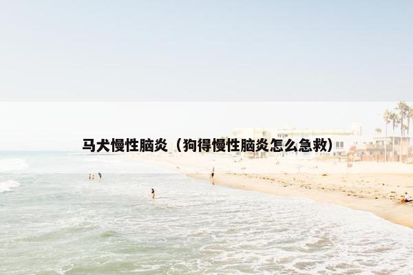 马犬慢性脑炎（狗得慢性脑炎怎么急救）