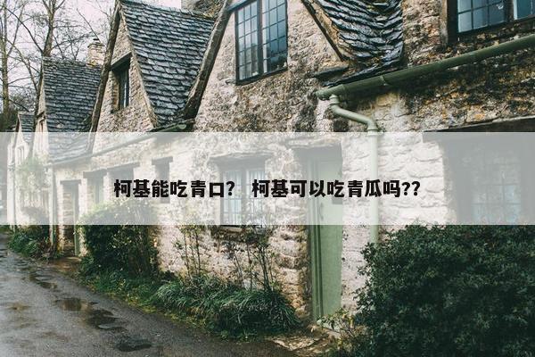 柯基能吃青口？ 柯基可以吃青瓜吗?？