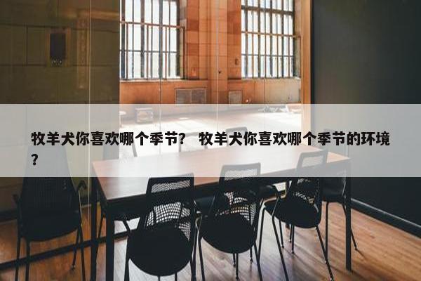 牧羊犬你喜欢哪个季节？ 牧羊犬你喜欢哪个季节的环境？