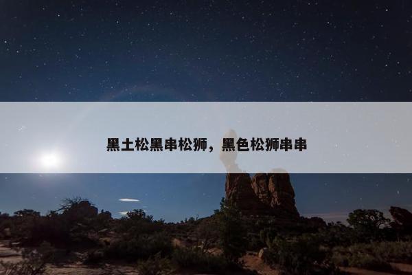 黑土松黑串松狮，黑色松狮串串