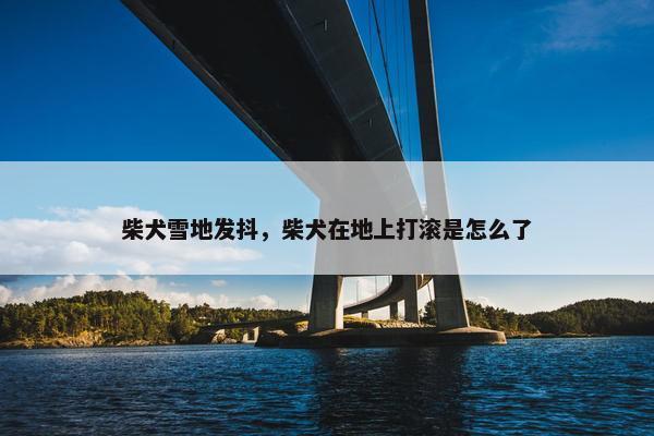 柴犬雪地发抖，柴犬在地上打滚是怎么了