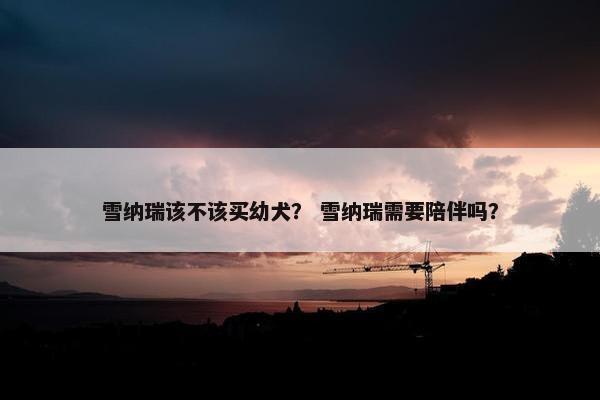 雪纳瑞该不该买幼犬？ 雪纳瑞需要陪伴吗？