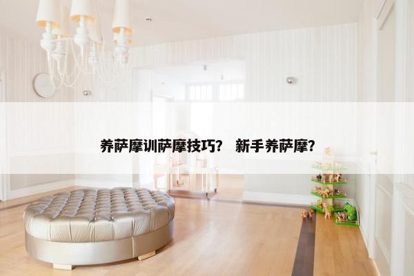 养萨摩训萨摩技巧？ 新手养萨摩？
