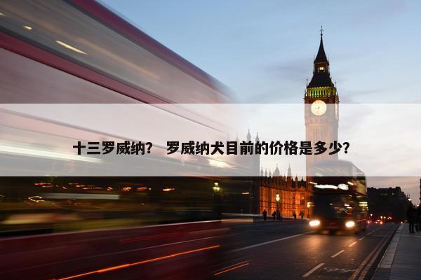 十三罗威纳？ 罗威纳犬目前的价格是多少？
