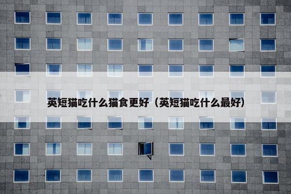 英短猫吃什么猫食更好（英短猫吃什么最好）