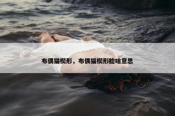 布偶猫楔形，布偶猫楔形脸啥意思