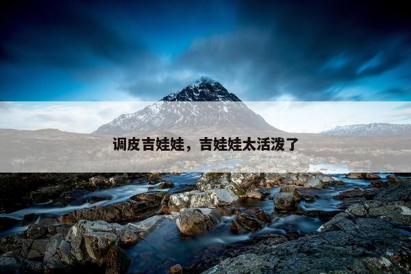 调皮吉娃娃，吉娃娃太活泼了